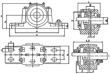 sd3100