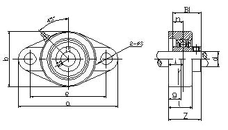 ucfl300